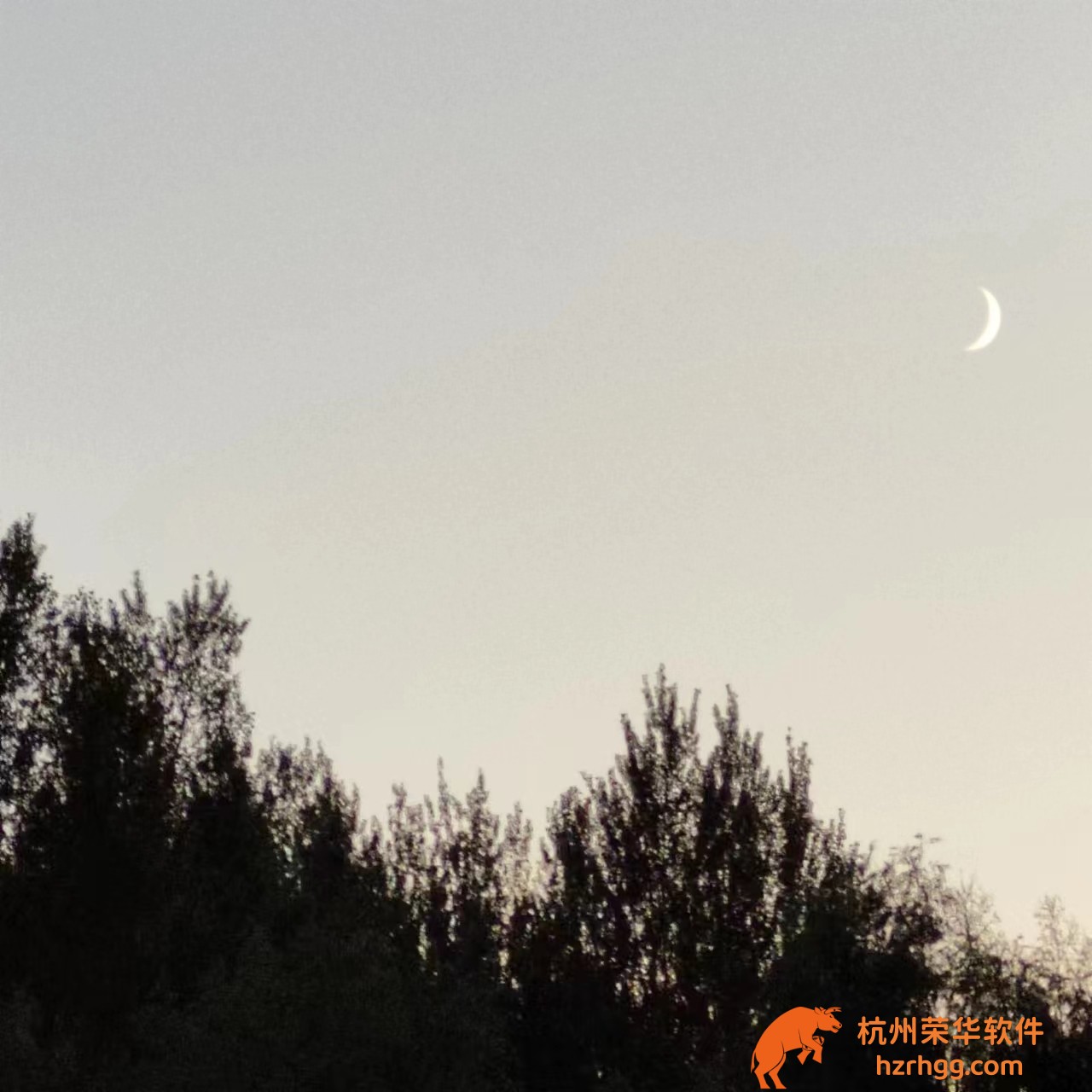 澳門一肖一碼期準(zhǔn)免費(fèi)分享，今日最準(zhǔn)免費(fèi)預(yù)測揭秘！