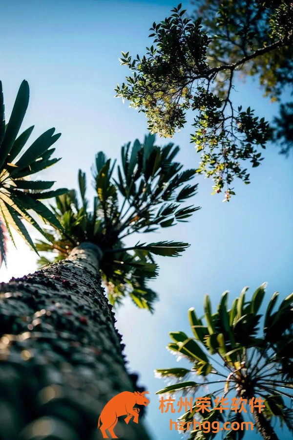 緊急發(fā)布:2025年073期澳彩開獎號碼與冷熱號碼分析