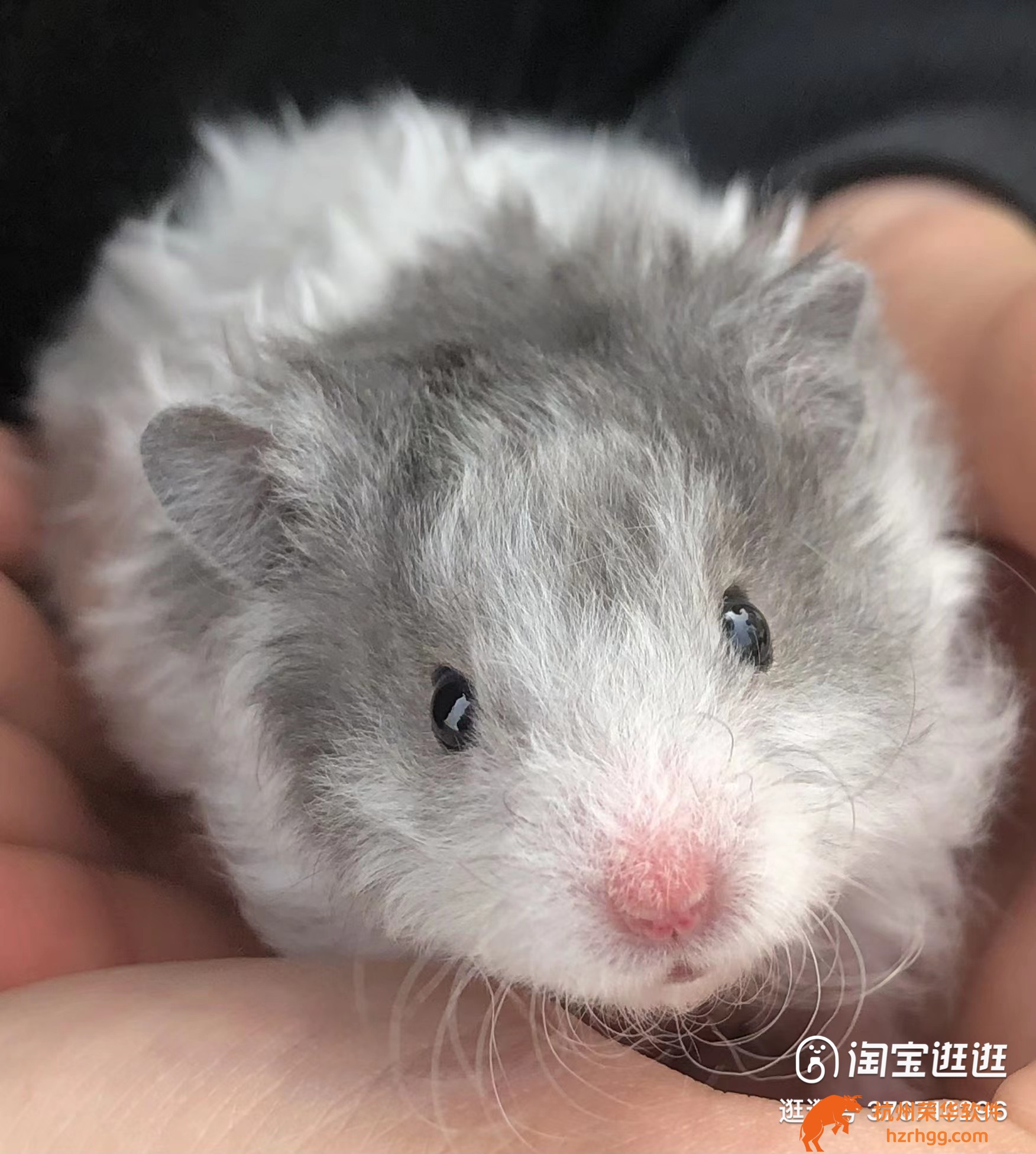 命中指南：新奧天天開獎資料大全62期，隱藏規(guī)律與必中思路公開！