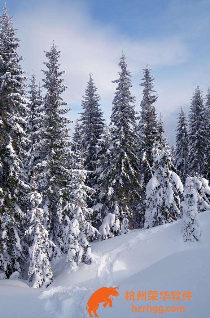 澳門馬芳草地官方資料:權(quán)威信息匯總與歷史對照