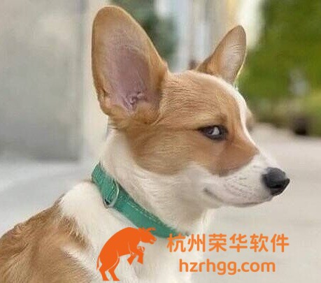 全網(wǎng)回顧2025澳門六歷史開獎記錄：趨勢表與熱冷號盤點