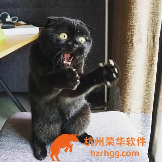 2025澳門特馬網(wǎng)站www75期：全網(wǎng)最快速解讀，帶你把握最新走勢