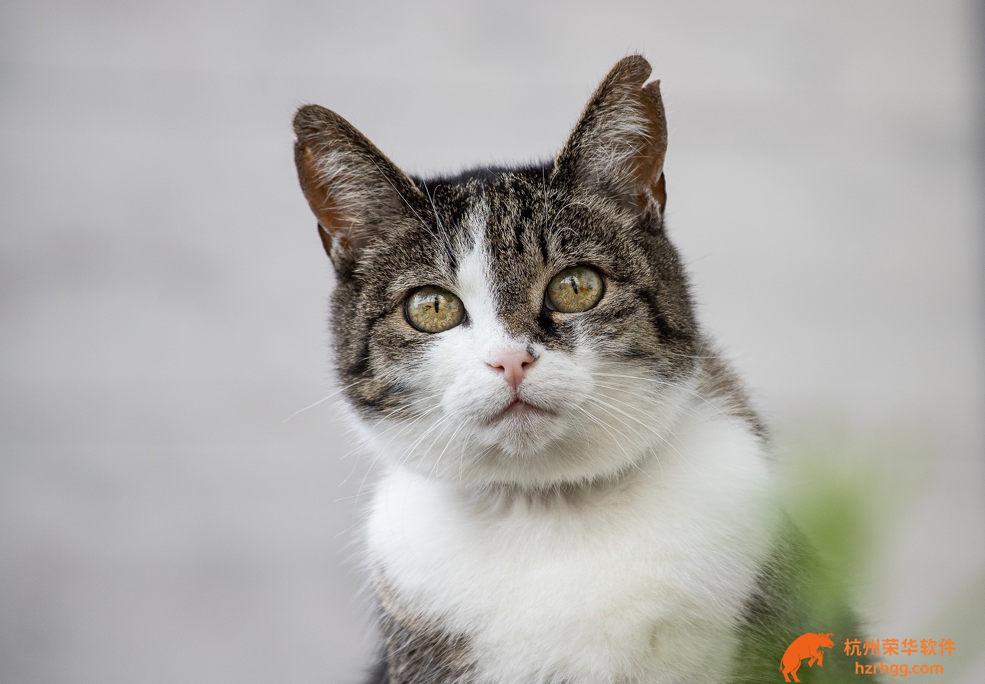 必看指南：2025澳門新特碼天天好彩大全，最新號(hào)碼走勢盤點(diǎn)